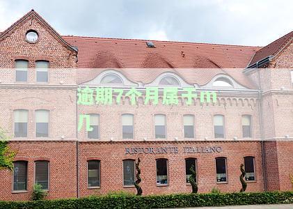 逾期7个月属于m几-逾期7个月会怎么样