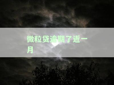 微粒贷逾期一个月能否继续使用额度？后果是什么？有奖问答！