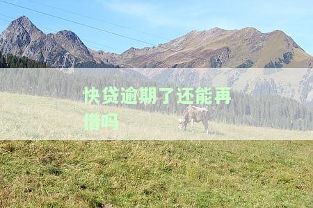 快贷逾期了会如何？影响你的一生，需重视！