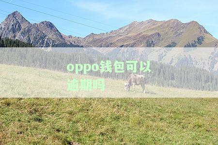 ：能否借钱？安全吗？如何操作？详细解答