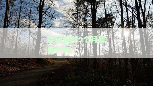 连续逾期5个月算黑户吗？影响及解决办法