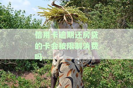 正在还房贷信用卡逾期了：影响及解决办法