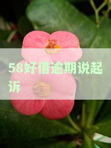 58好借逾期2个月，真的会打电话说要上门吗？