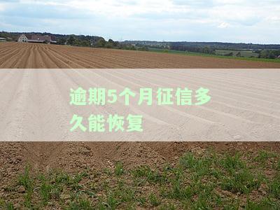 征信逾期5个月算黑户吗？影响及解决办法全解析