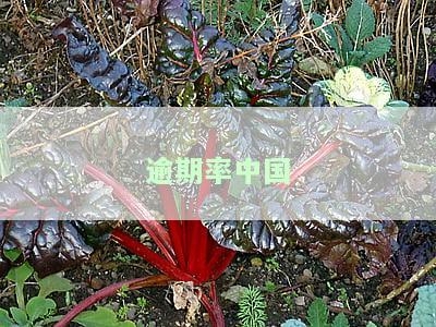 中国目前逾期率：2020年及2021年逾期人数与比例全览