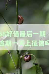 58好借最后一期逾期一天上征信吗-58好借最后一期逾期一天上征信吗有影响吗