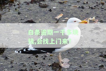 白条逾期一千多块钱，会找上门来催款吗？真的会去家里吗？