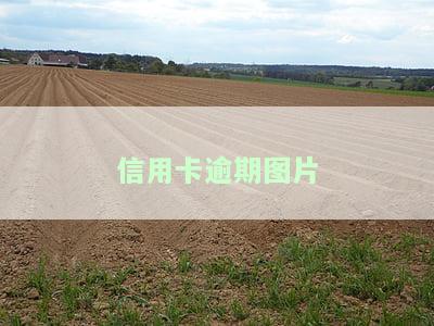 信用卡逾期图片生成器：定制2020年逾期图片，制作欠款截图