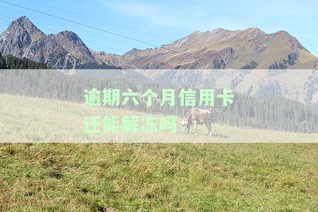 逾期六个月信用卡能否解冻？已还款的信用卡能否再使用？欠多家银行信用卡逾期6年，现在有5张信用卡逾期6个月，无力偿还，如何处理？