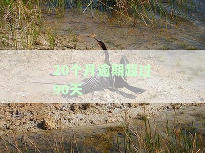 20个月逾期超过90天会产生什么后果？如何处理？逾期多久算严重？