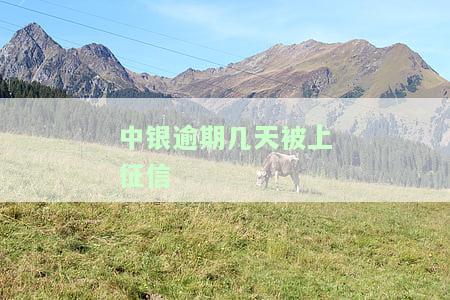 中银逾期几天被上征信？影响及解决办法