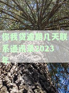 你我贷逾期几天会联系通讯录？2023年还款解决方案
