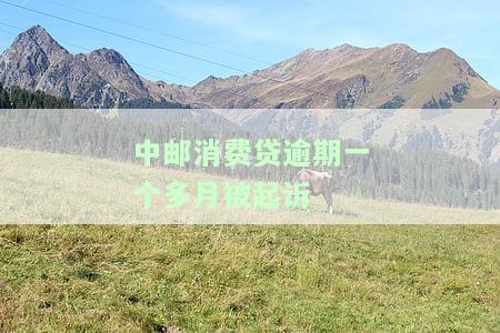 中邮消费贷逾期1个月被起诉，如何应对？逾期后果及第三方催款解析