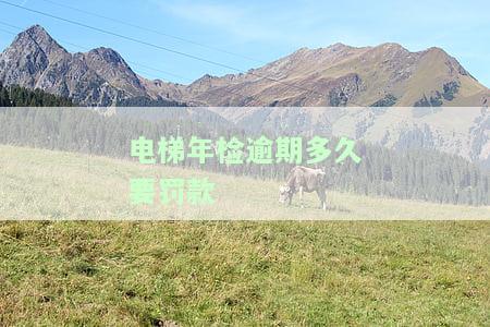 电梯年检逾期行政处罚规定及最新政策解读