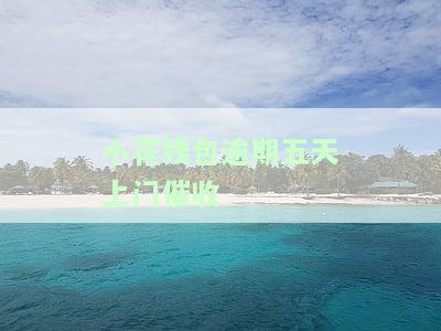 小花钱包逾期催收说上门要钱：真的假的？暴力催收、上门收款及后期还款问题解析