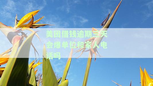 美团借钱逾期3天即打妈妈电话，还款晚8天有何影响？如何申请期还款？可以拖多久？解决方案是什么？