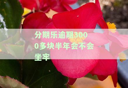 分期乐欠了三千多逾期一年，会否被起诉并纳入失信名单？