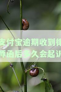 支付宝逾期收到律师函后的处理方式及可能后果