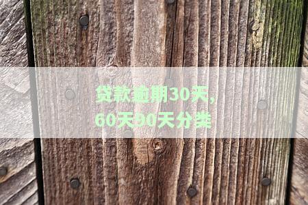 贷款逾期30天,60天90天分类