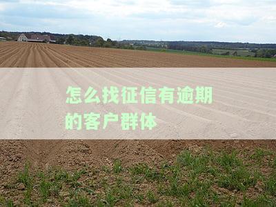 征信处理：如何找到客户及其联系方式及修复方法