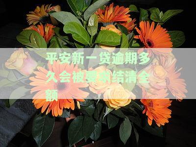 平安新一贷逾期多久会被要求结清全额