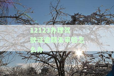 12123显示驾驶证期审验的意思是什么？