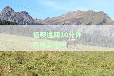 借呗逾期十几分：后果、解决方法及借款影响全解析