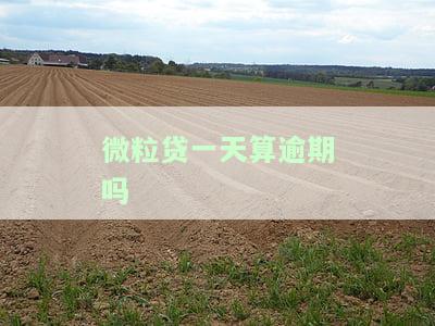 微粒贷过一天算逾期吗？影响及解决办法