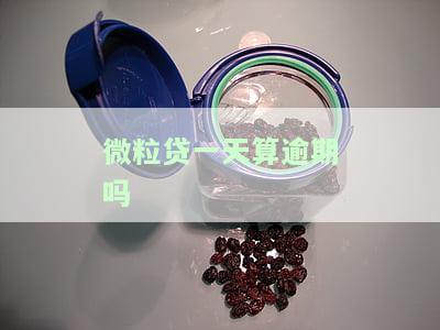 微粒贷一天算逾期吗