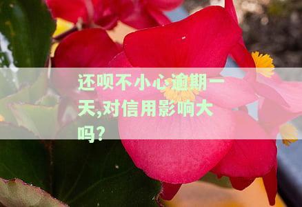 还呗不小心逾期一天，对信用影响大吗？解决方法及后果全解析！