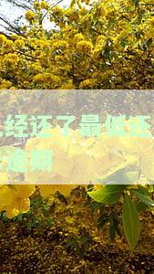 已经还最低了怎么还显示逾期？明明还了最低还款还说逾期！