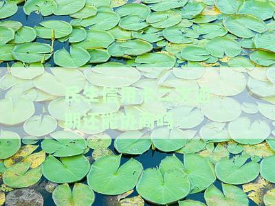 民生协商后二次逾期：政策、影响与协商可能性