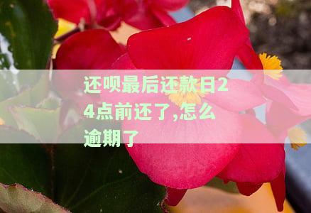还呗还款日最晚几点还款及自动扣款时间规定