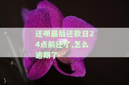 还呗最后还款日24点前还了,怎么逾期了-还呗最后还款日24点前还了,怎么逾期了呢