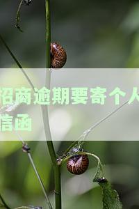 招商逾期4个月收到催款信：如何处理可能的法律后果？