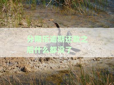 分期乐逾期部分已还清，还会被起诉吗？剩余欠款可分期还吗？
