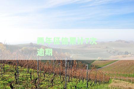 两年征信累计7次逾期
