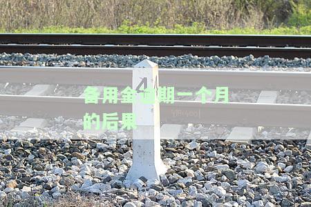 备用金逾期一个月的后果严重吗？影响及解决办法解析