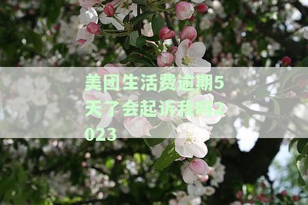 美团生活费逾期5天了会起诉我吗？2023年后果严重！