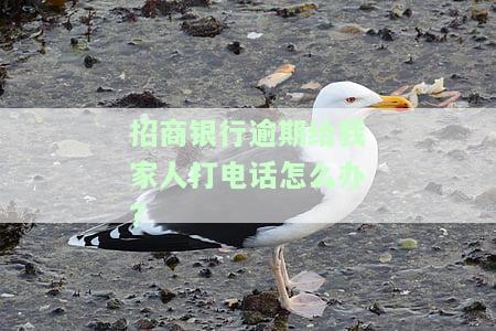 招商银行逾期给我家人打电话怎么办?-招商银行逾期给我家人打电话怎么办呢