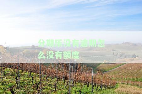 分期乐无逾期却无法借款：额度存在，为何借不出？