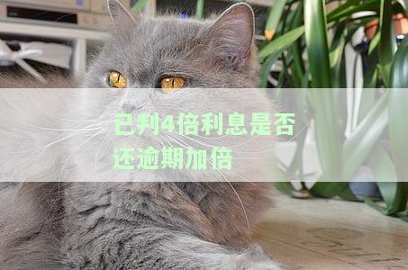 已判4倍利息是否还逾期加倍-判决四倍利息怎么计算