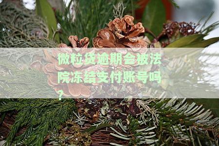 微粒贷逾期会冻结微信和支付宝吗？影响安全吗？常见问题解答