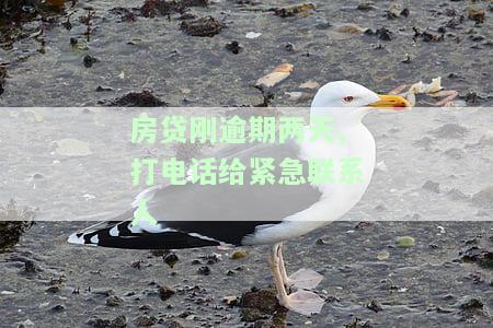 房贷逾期几天打电话？合法还是骚扰？影响担保人、家人的法律风险解析