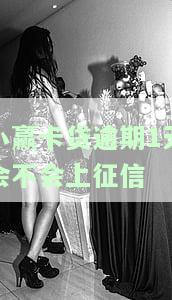 小赢卡贷逾期1天会不会上征信-小赢卡贷逾期1天会不会上征信报告
