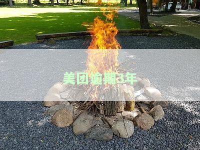 美团逾期3年美团又给额度了，如何处理？