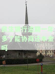 民生银行逾期一年多了，能协商还本金或分期吗？找谁协商？如何申请减免？