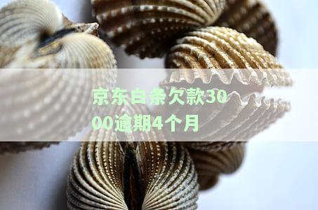 欠款3000逾期4个月如何处理？可能面临的后果是什么？