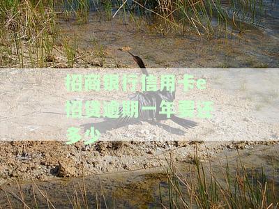 招商银行信用卡e招贷逾期一年要还多少
