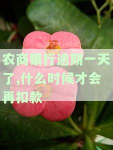 农商银行逾期一次影响贷款吗？逾期一天会否上征信？